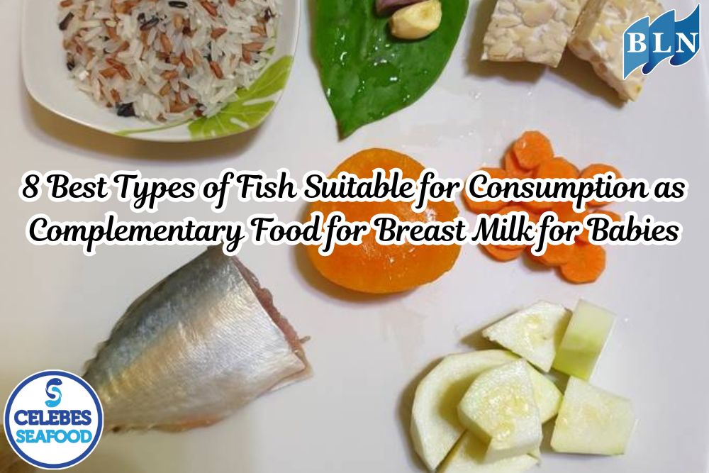 8 Best Types of Fish Suitable for Consumption as Complementary Food for Breast Milk for Babies